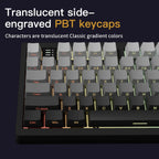 Darmoshark TOP75 HE Trio-Mode Manyetik Switch RGB Gaming Klavye
