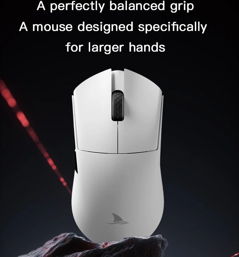 Dengeli Ergonomi