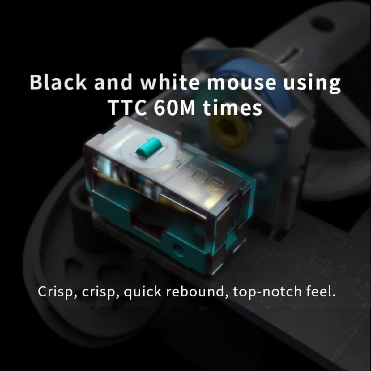 Oyuncu Baykuş Darmoshark M3XS PRO oyuncu faresi için kullanılan şeffaf gövdeli TTC Green Dragon mekanik switch
